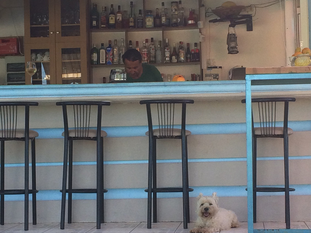 Andy's Gardens Hotel主图