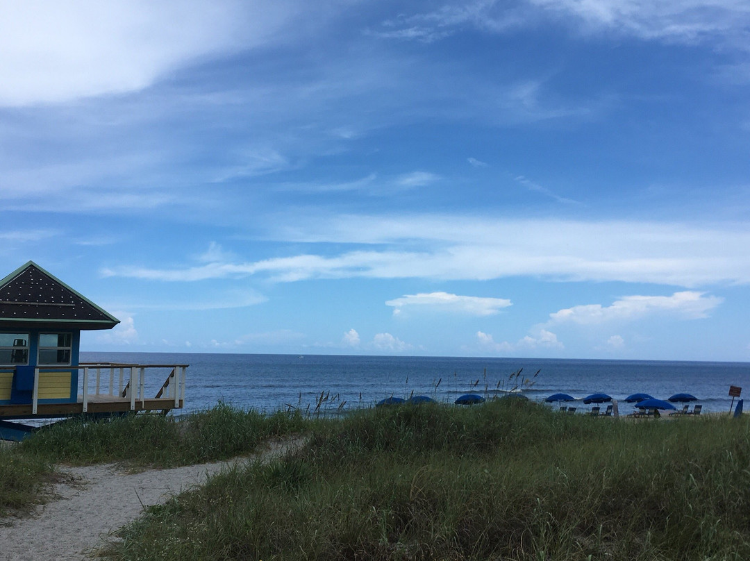 Atlantic Dunes Park-德拉海滩必去景点