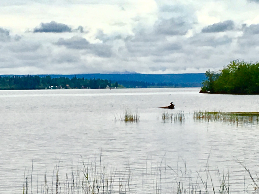 Lakelse Lake Provincial Park景点图片
