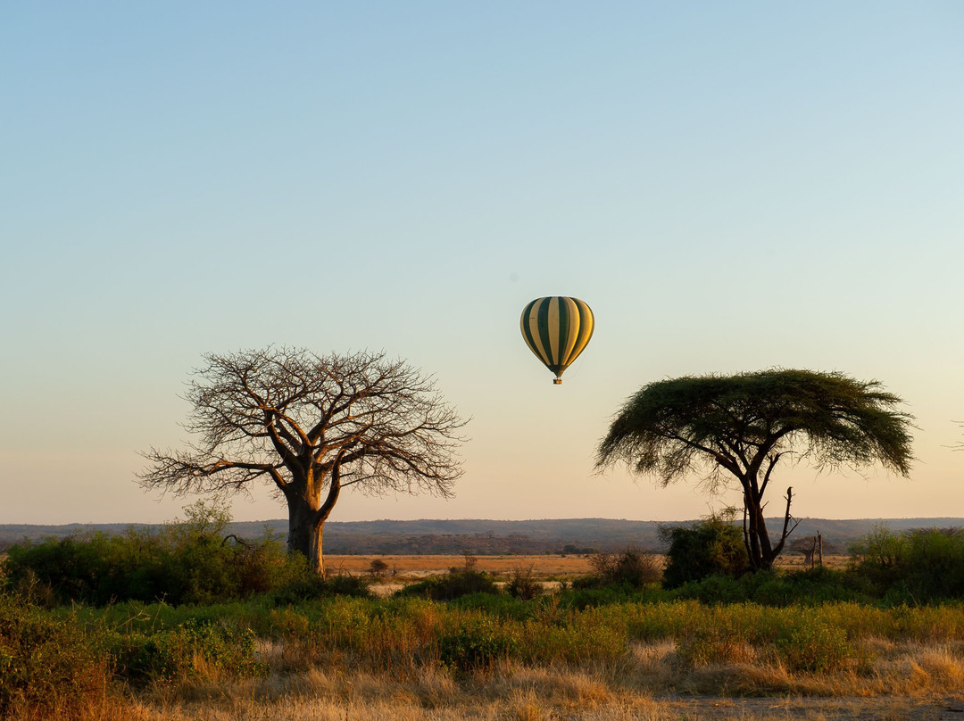 Serengeti Balloon Safaris-鲁阿哈国家公园必去景点