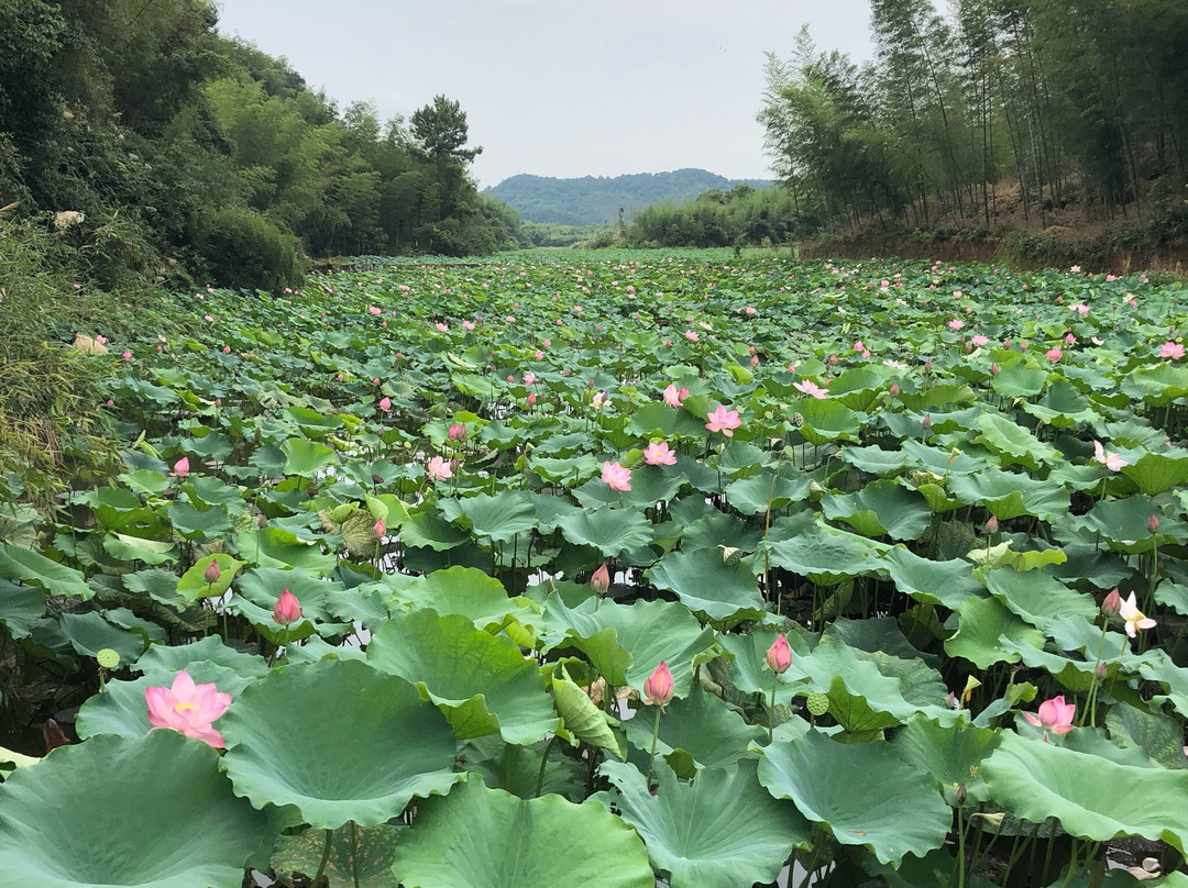 飞天山国家地质公园景点图片