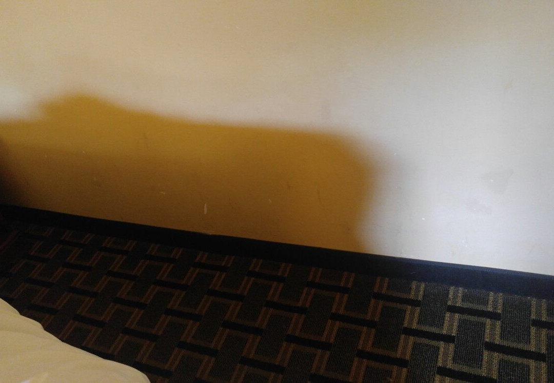 Clarion Pointe Marshall主图