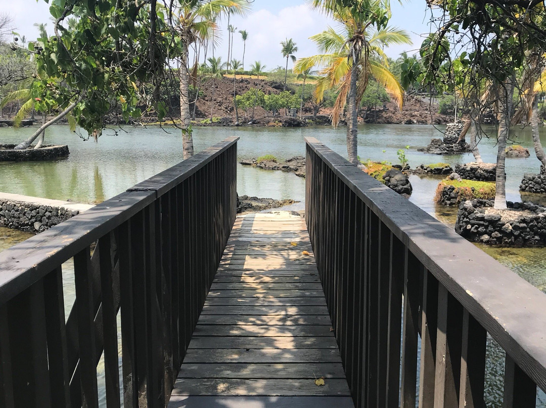 马纳拉尼乡村之家主图