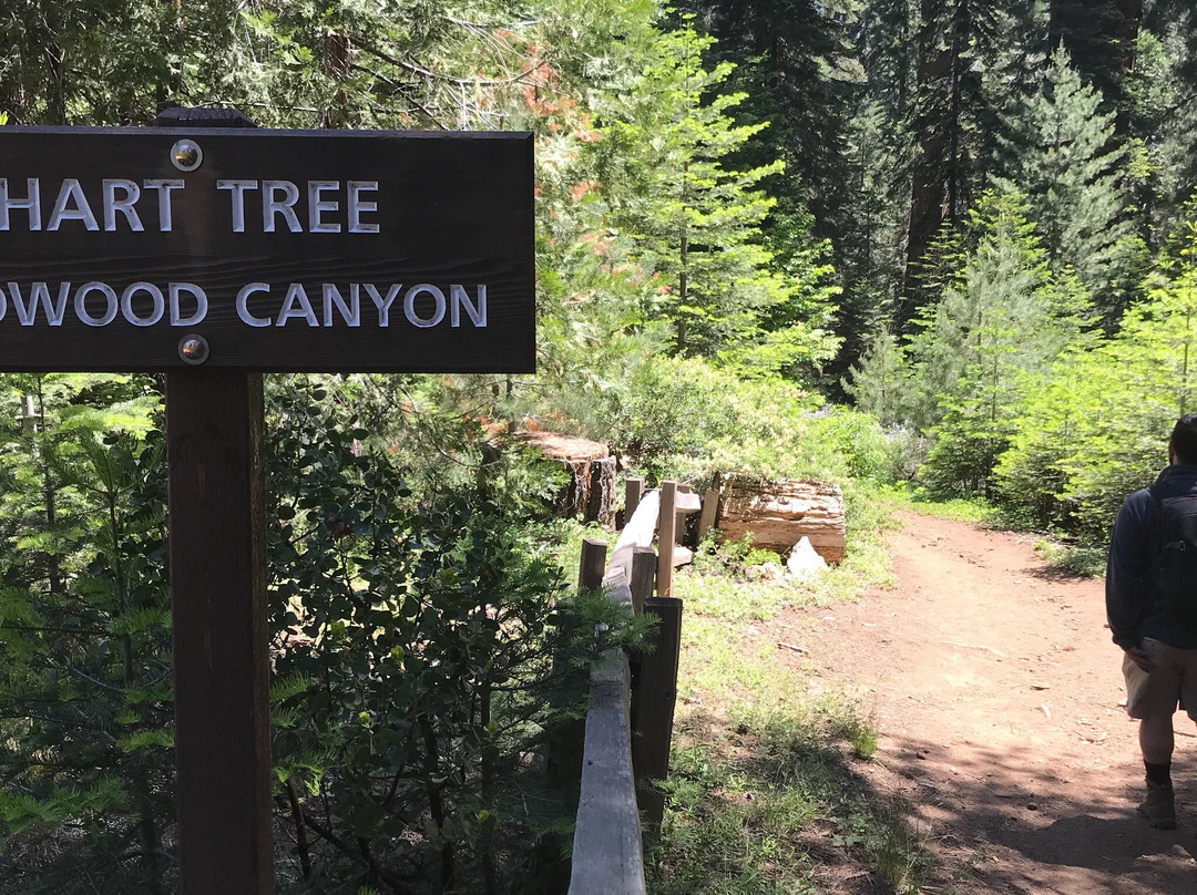 Redwood Canyon Trail-红杉&国王峡谷国家公园必去景点