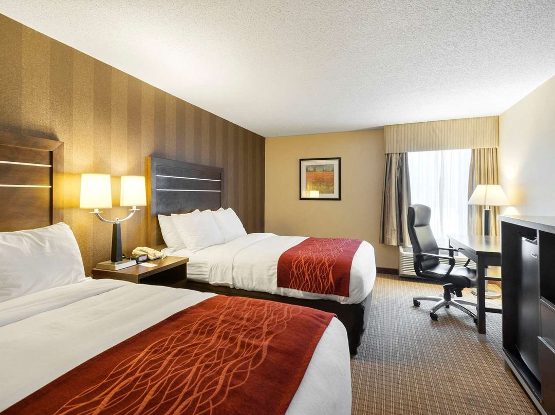 Quality Inn & Suites Bel Air I-95 Exit 77A主图