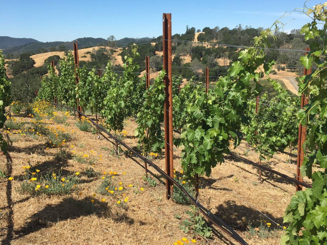 Somerston Estate-圣海伦娜必去景点