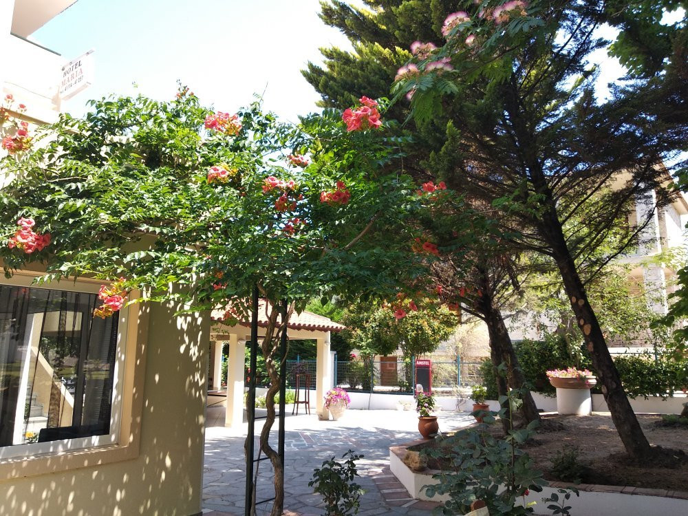 Hotel Maria主图