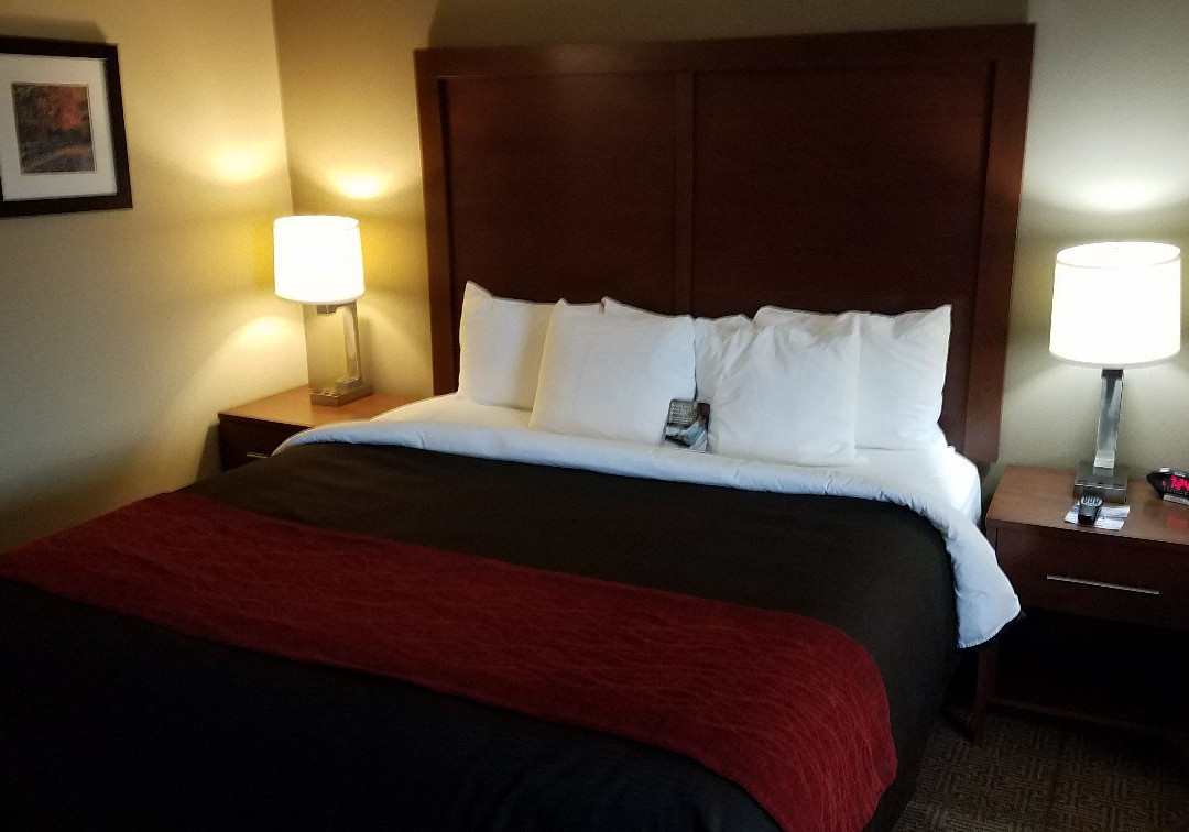 Comfort Inn Mayfield Heights Cleveland East主图