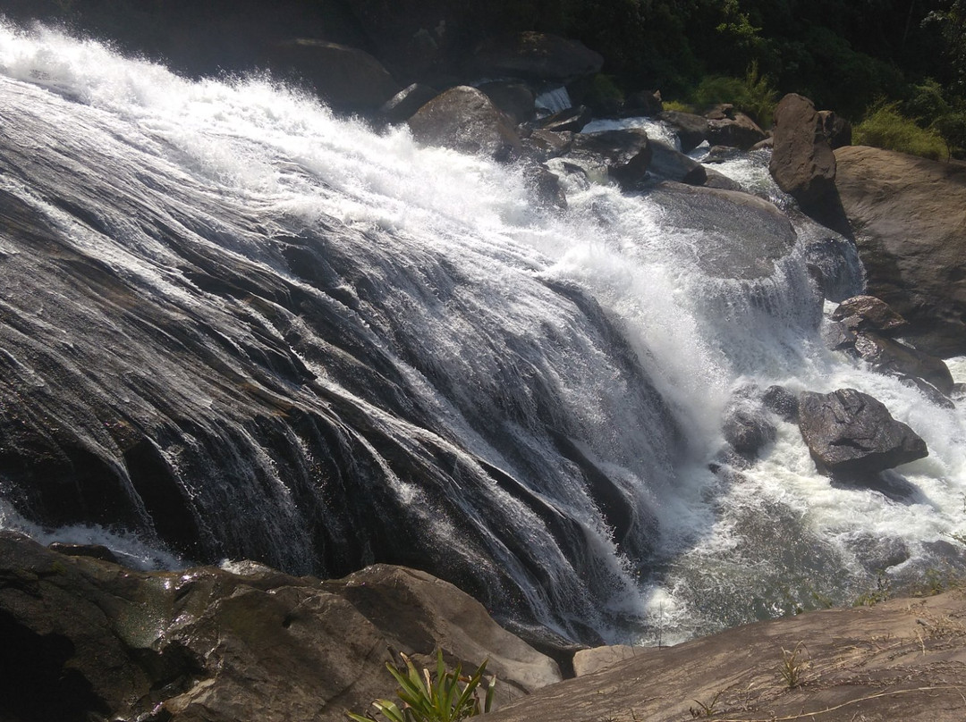 Cachoeira da Fumaca景点图片