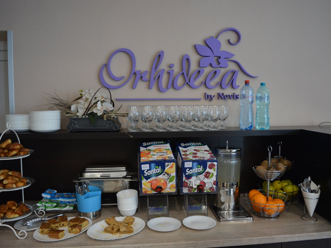 Hotel Nevis Wellness & SPA主图
