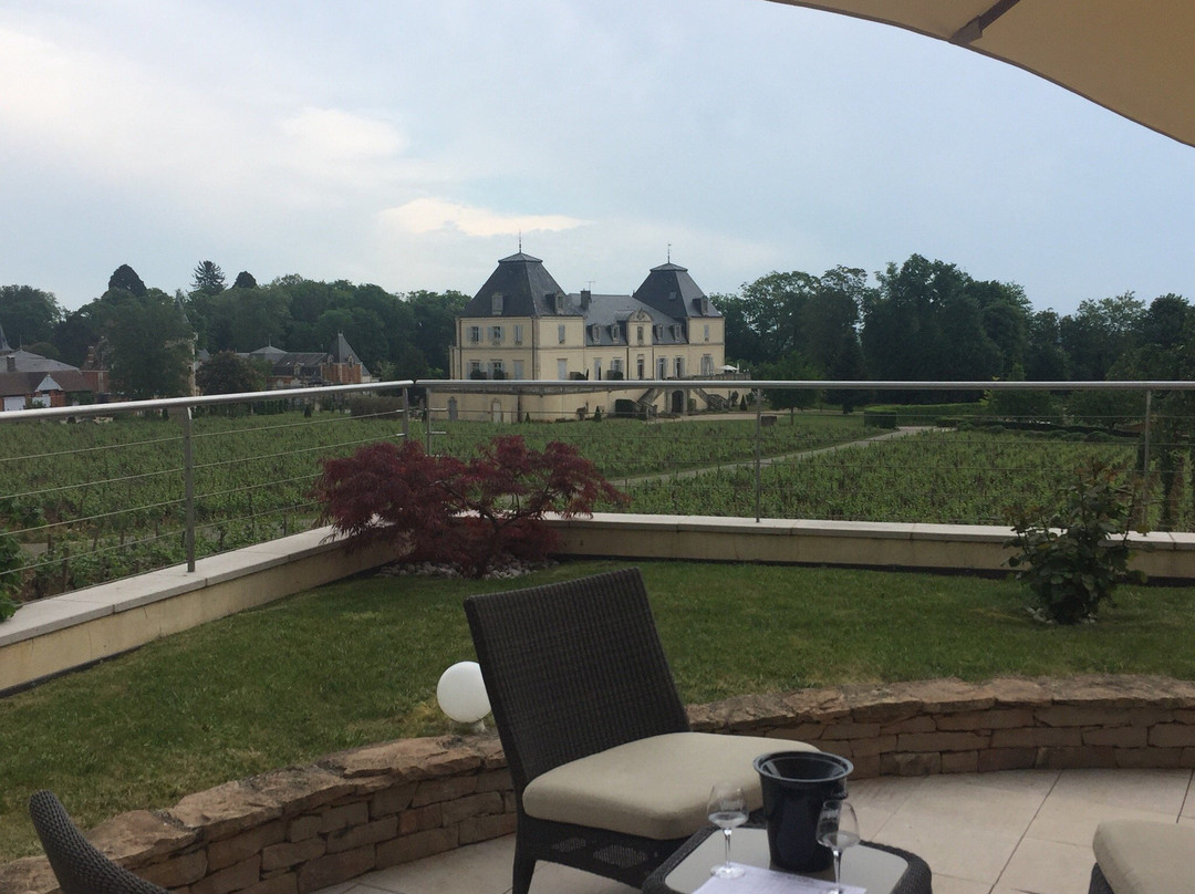 Domaine Château de Citeaux景点图片