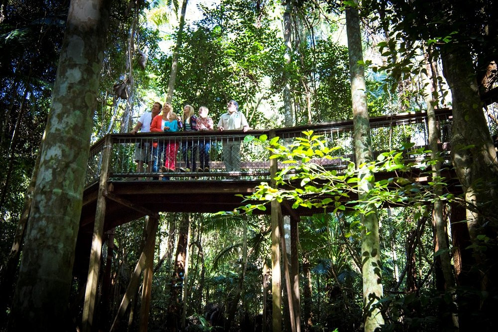 Sea Acres Rainforest Centre Port Macquarie-麦克夸利港必去景点