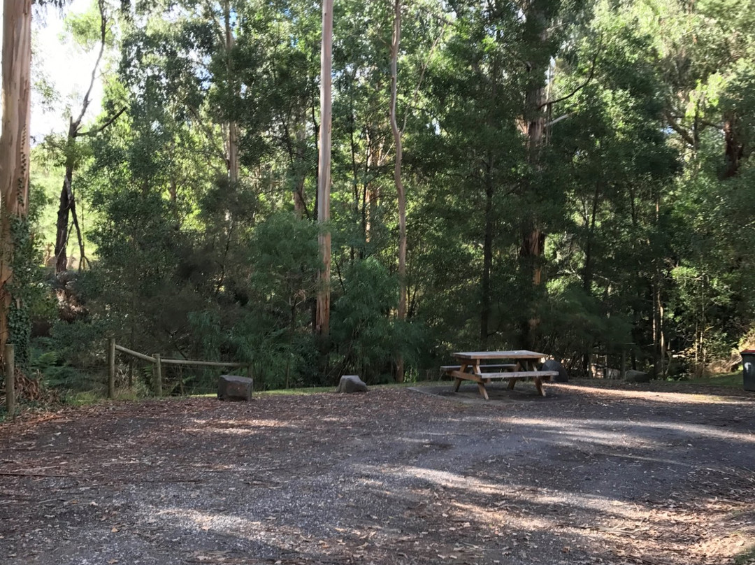 Korumburra Botanic Park-科伦布拉必去景点