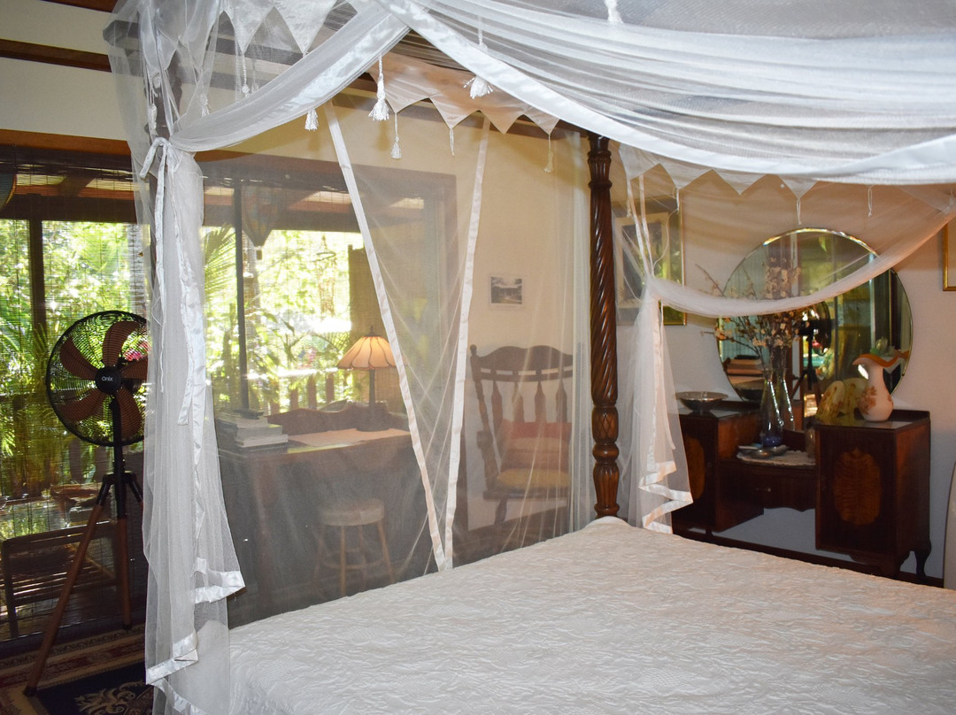 Oskar's Rainforest Retreat Bed and Breakfast主图