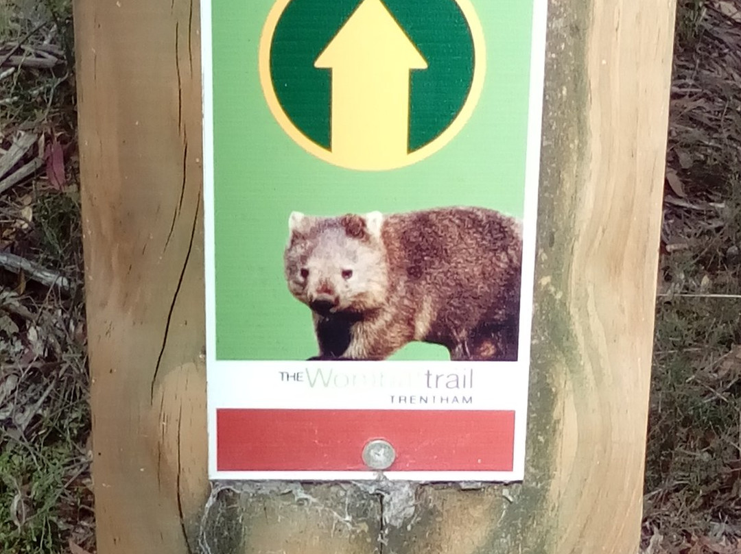 Wombat Trail-Trentham必去景点