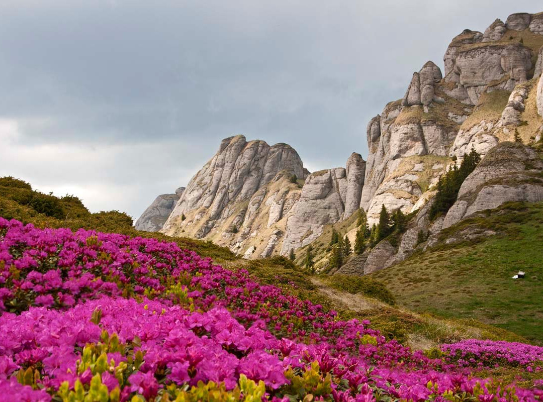 Transylvania Tourism-布拉索夫必去景点