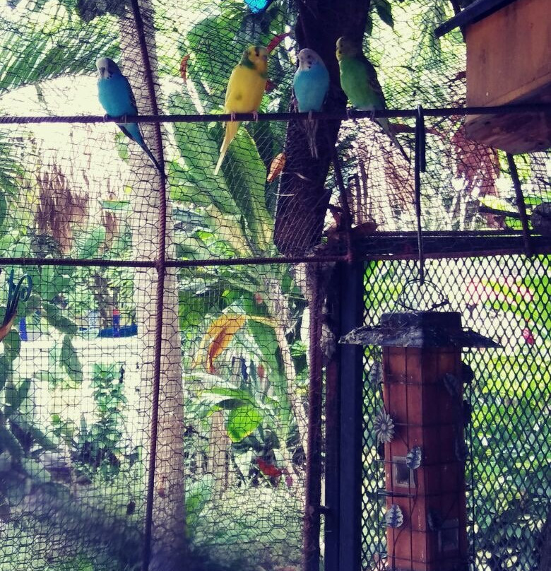 SANA El Jardin Secreto主图