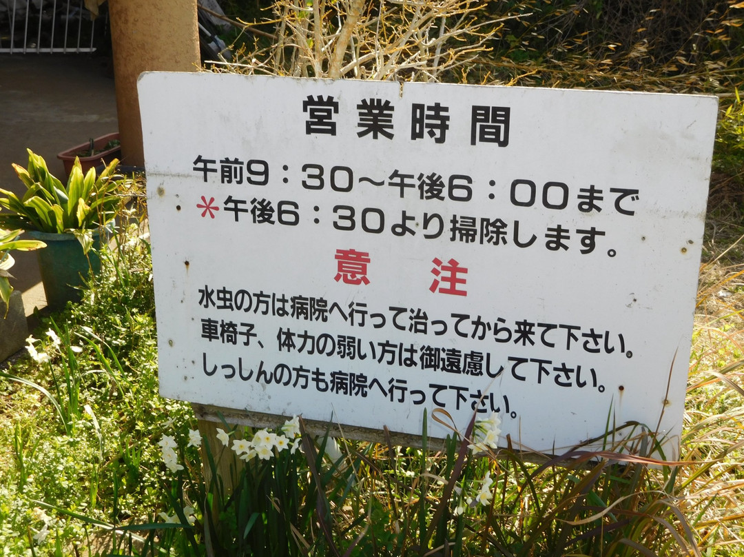 Kaimon Onsen-指宿市必去景点