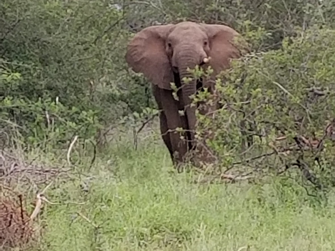 Maseke Mountain Biking-霍德斯普鲁特必去景点