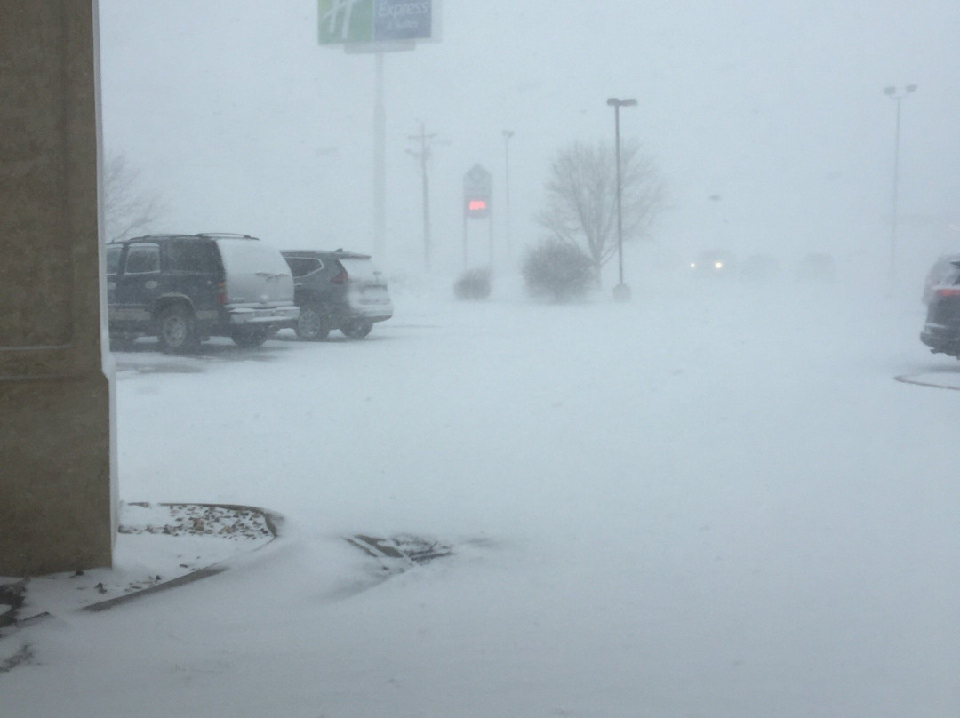 Best Western Watertown Inn And Suites主图