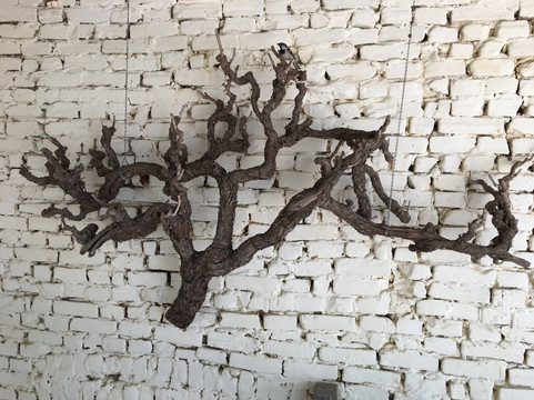 Wine Legends-巴罗莎山谷必去景点