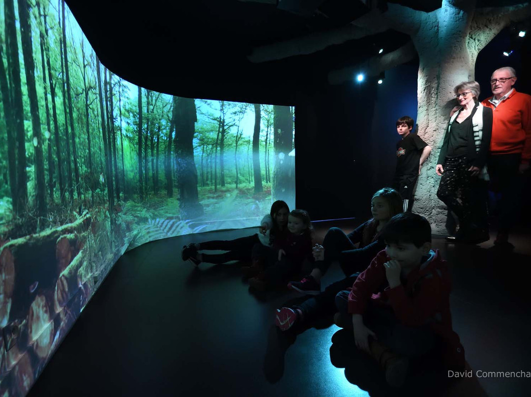 Chateau Musee Foret d'Histoires景点图片