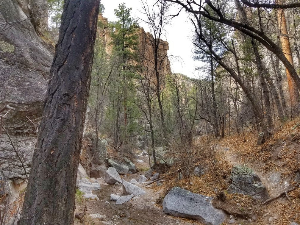Jordan Hot Springs-Silver City必去景点