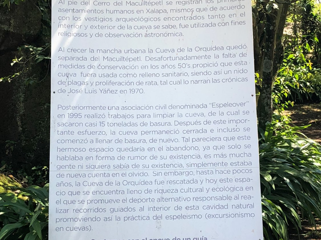 LA Cueva de la Orquidea-哈拉帕必去景点