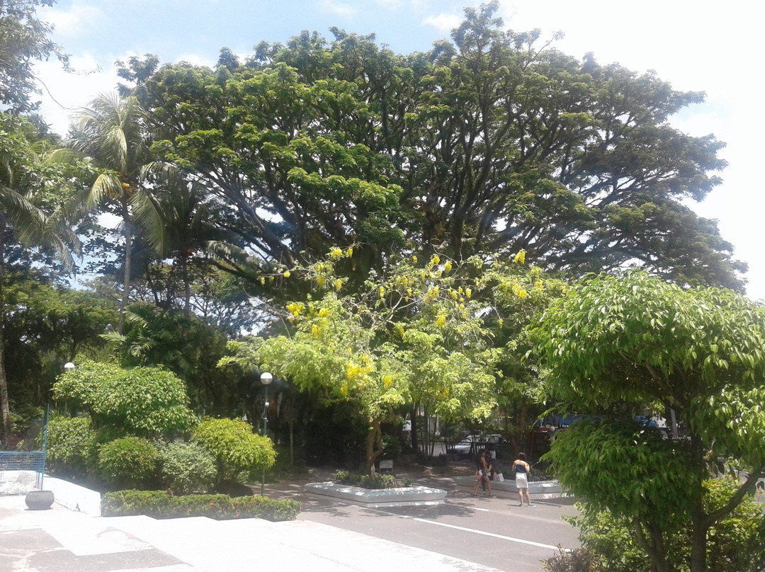 Silay Public Plaza景点图片