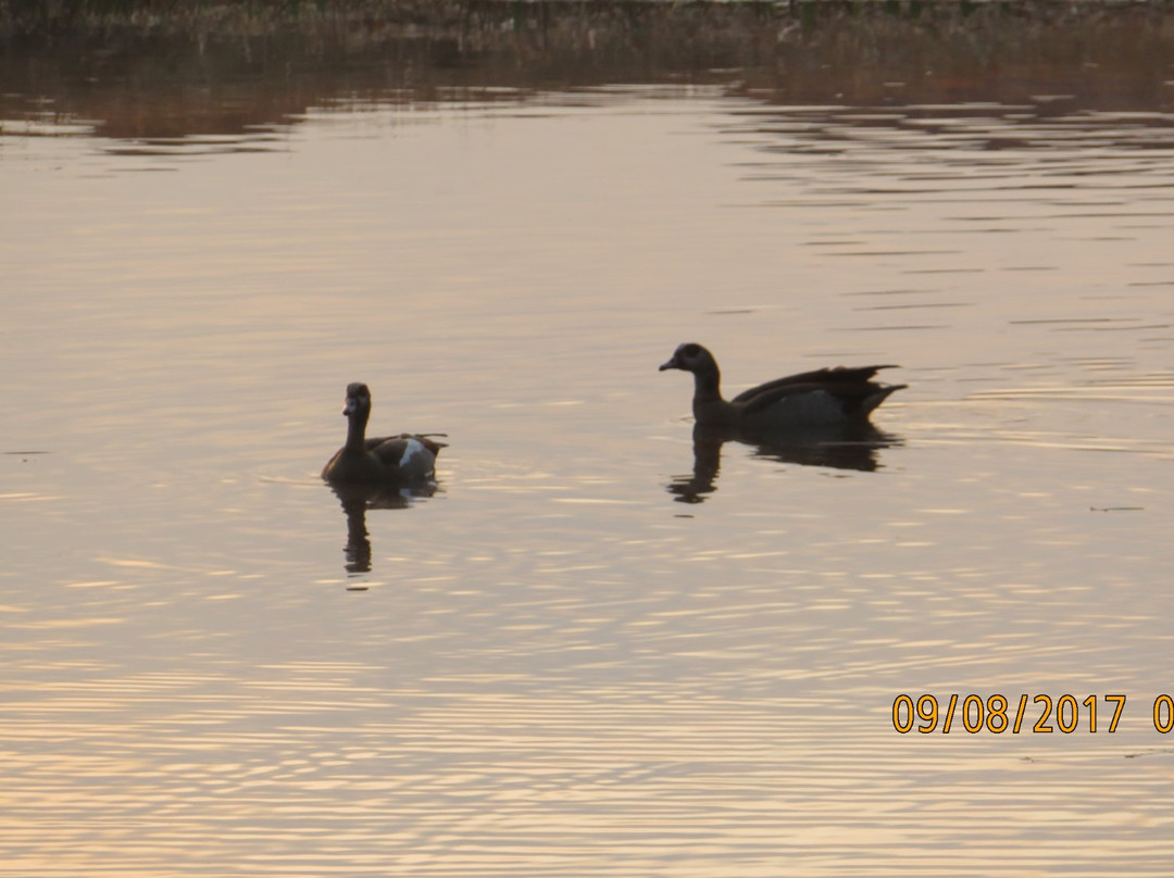 Walkersons Hotel & Spa主图