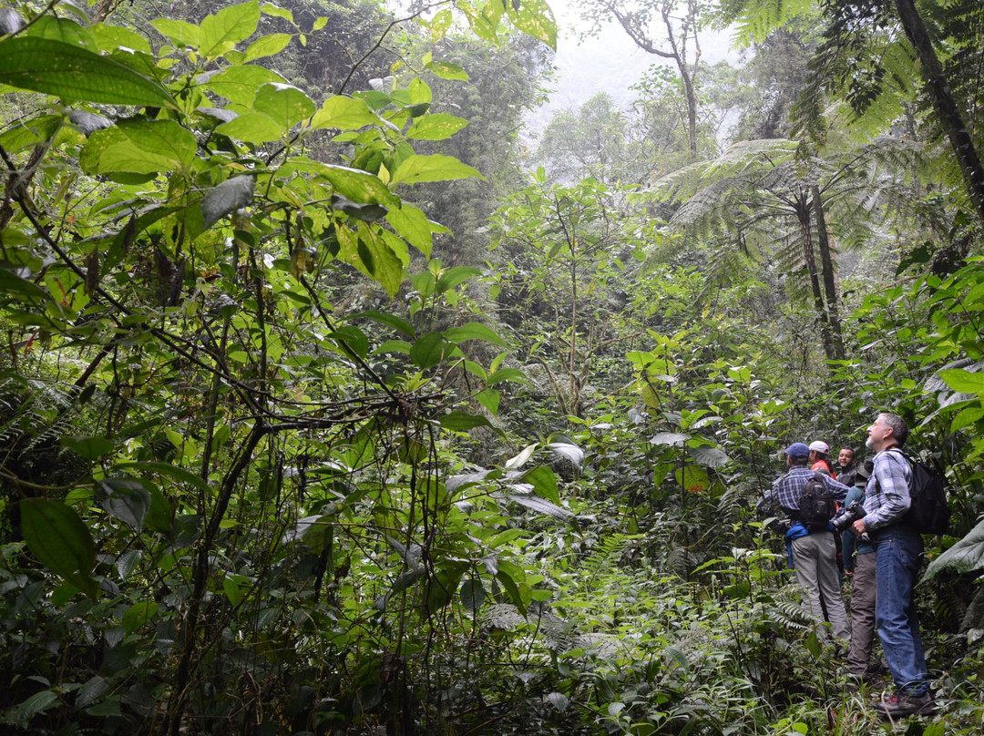 Parque Natural Los Tunos景点图片