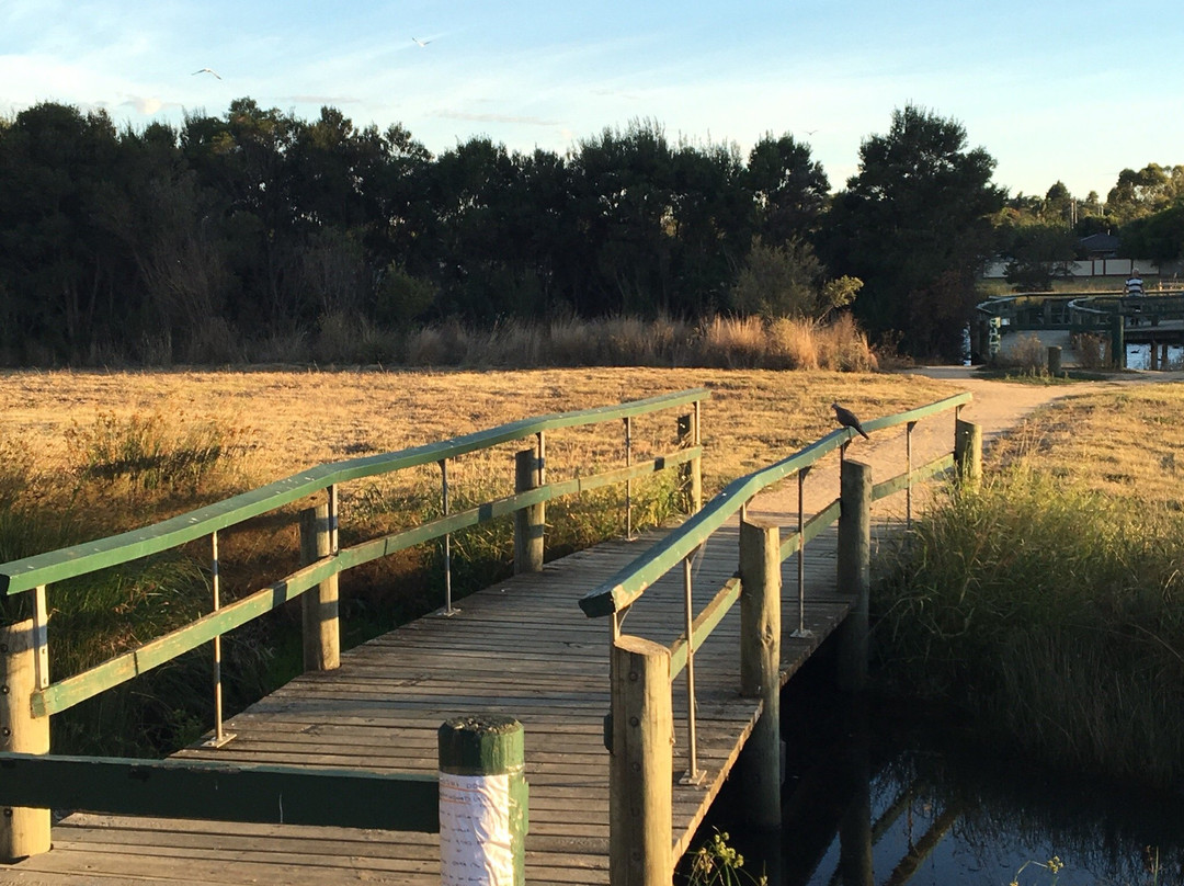 Lynbrook旅游景点-River Gum Creek Reserve