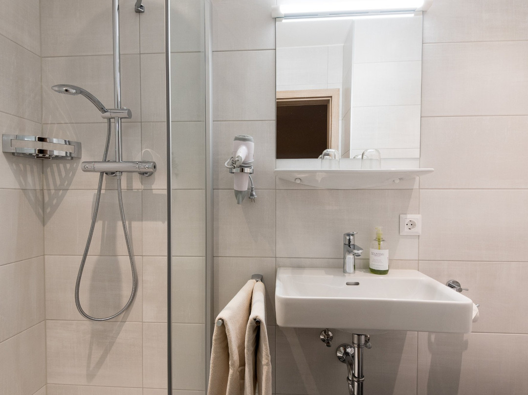 Hohe Tauern Appartment Gaestehaus Zwischenberger主图