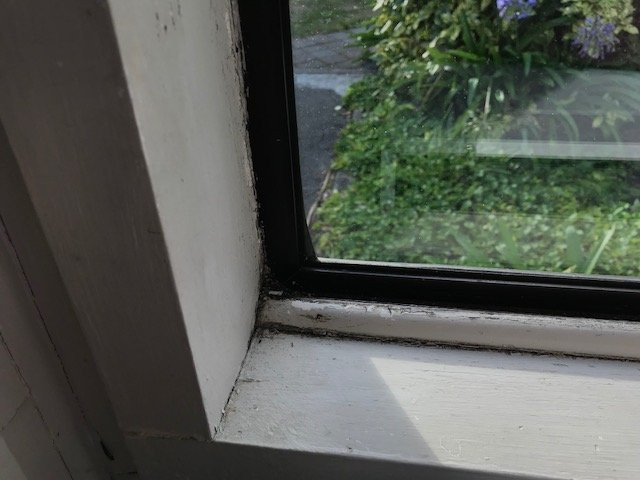 Highwayman Motel主图