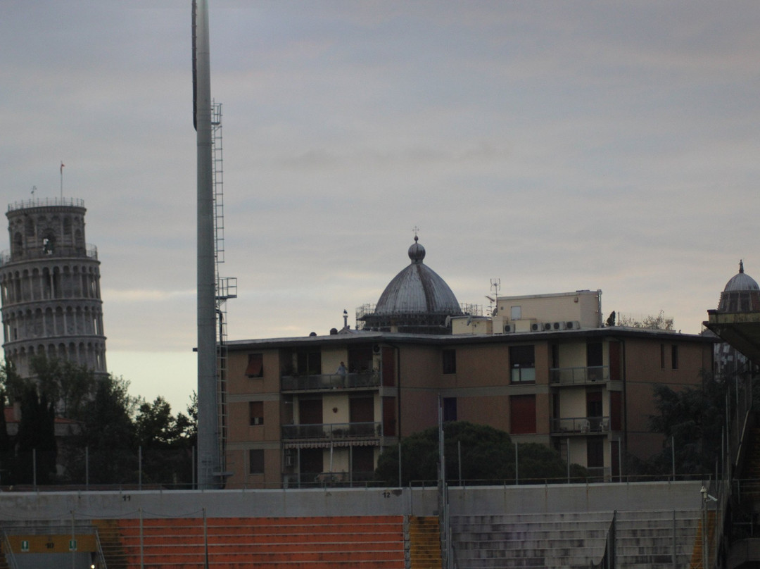 Stadio Arena Garibaldi - Romeo Anconetani景点图片