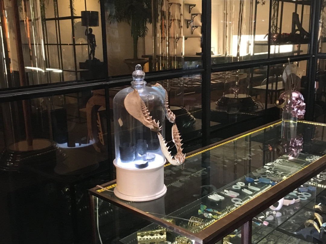 Sobeit Store & Hong Kong Charlie Sushi Cafe-Muizenberg必去景点