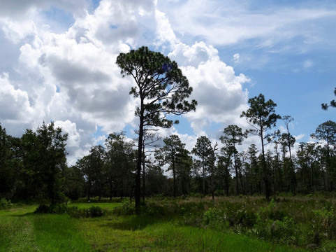Heartwood Preserve-Trinity必去景点