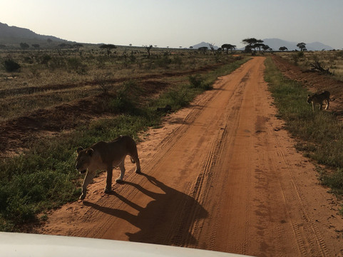 KenyaExpeditionLTD-蒙巴萨必去景点