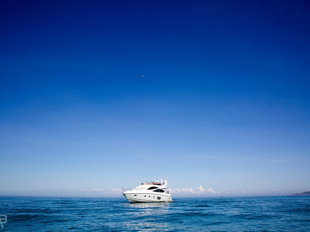 Alfie Buoy-泽西岛必去景点