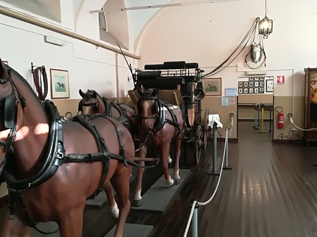 Museo Storico dell'Arma di Cavalleria景点图片