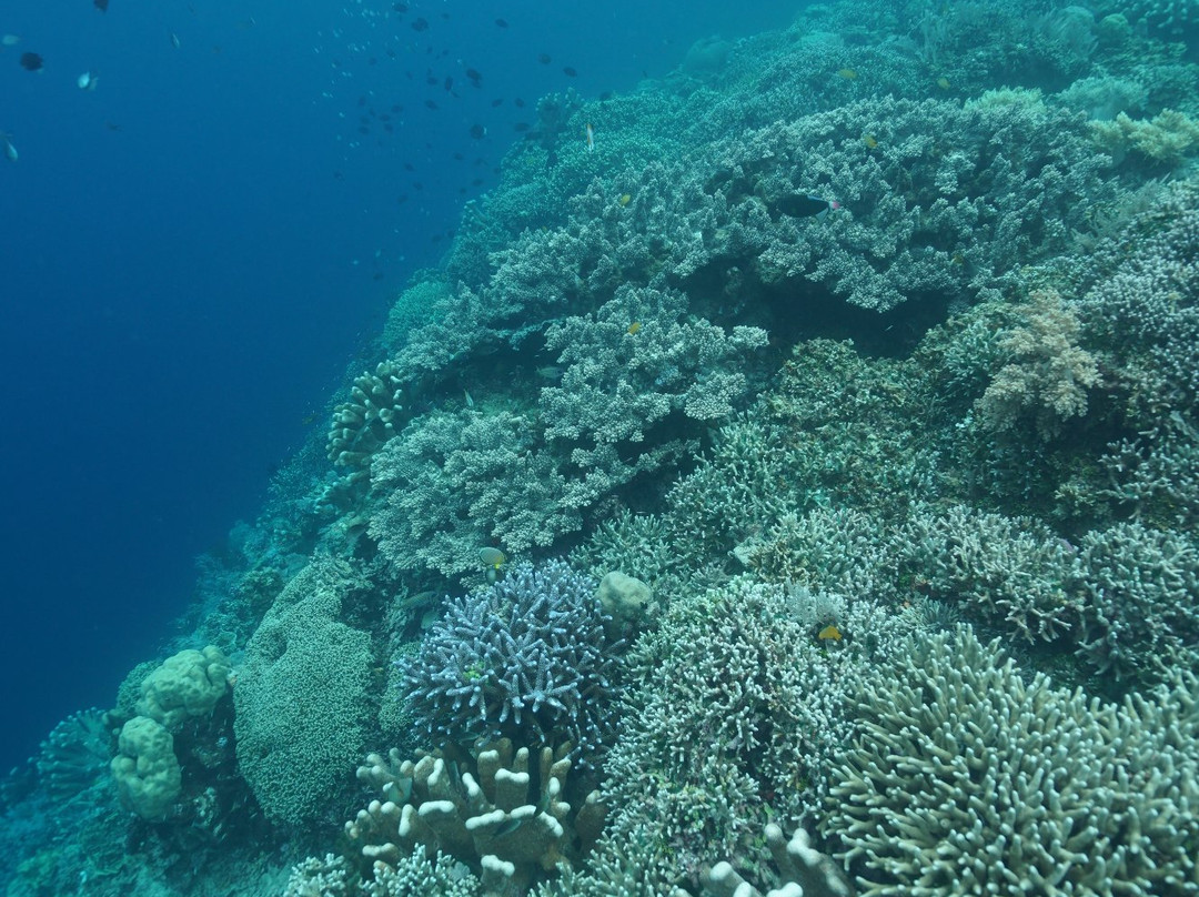 The Village Bunaken Resort主图