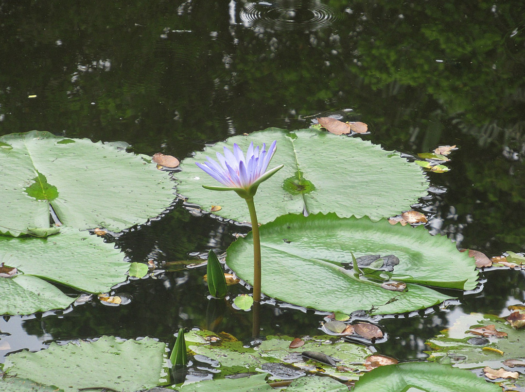 Kenneth Stainbank Nature Reserve-德班必去景点