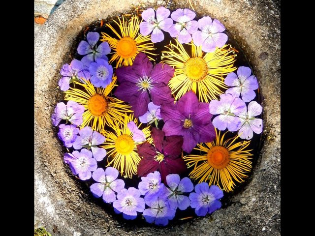 Les jardins de vos rêves-Saint-Ferdinand必去景点