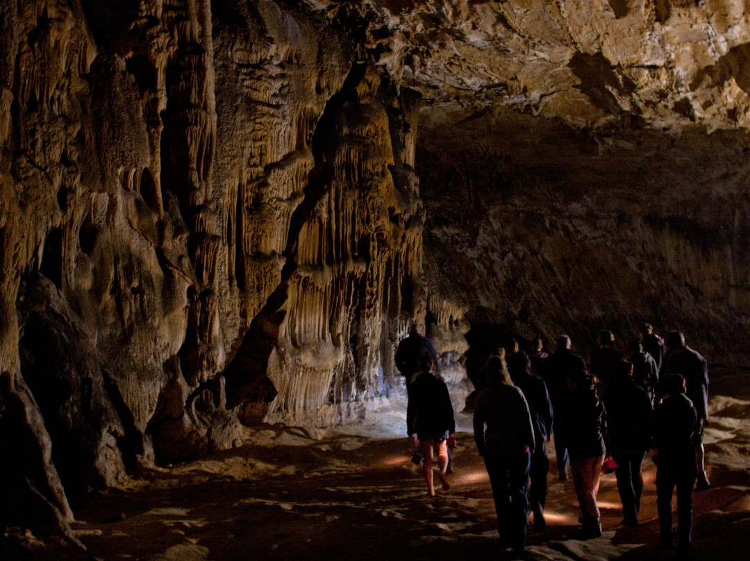 Grotte de Bedeilhac景点图片