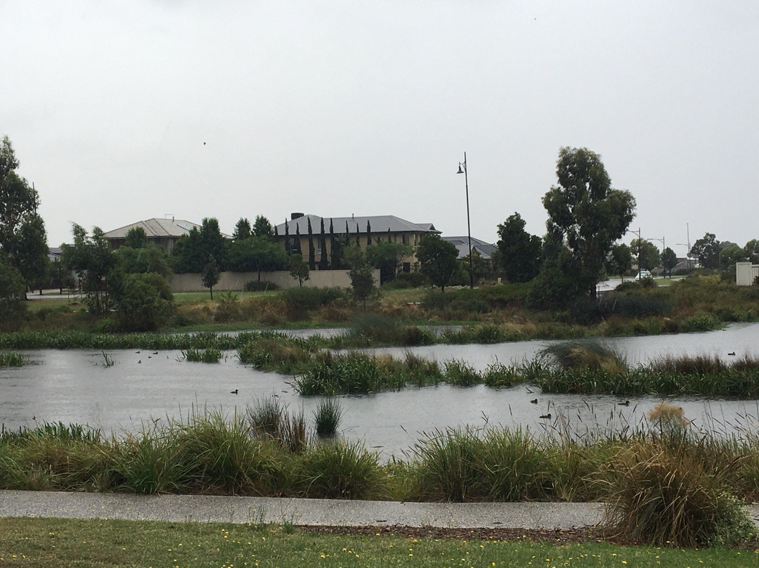 Caversham Waters Wetland景点图片