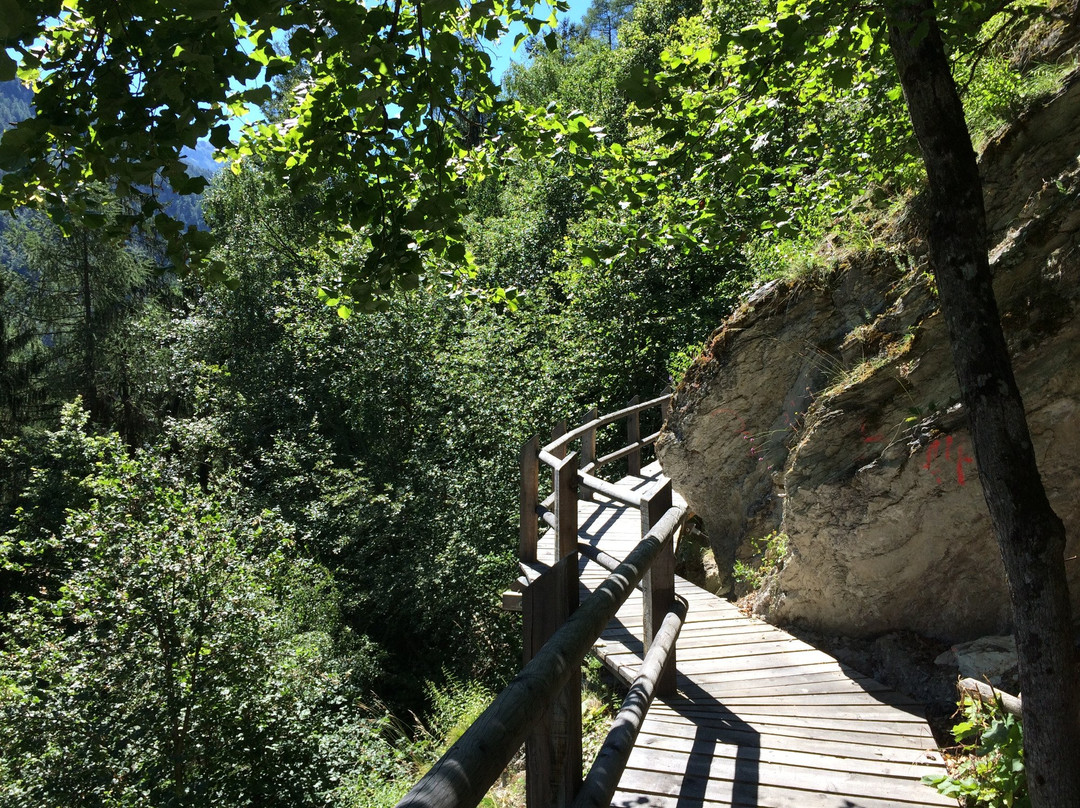 Bisse des Sarrasins