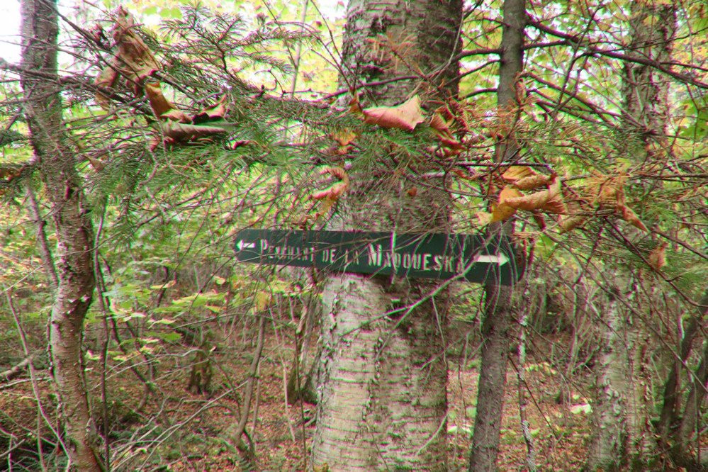 Sentier du Prospecteur景点图片