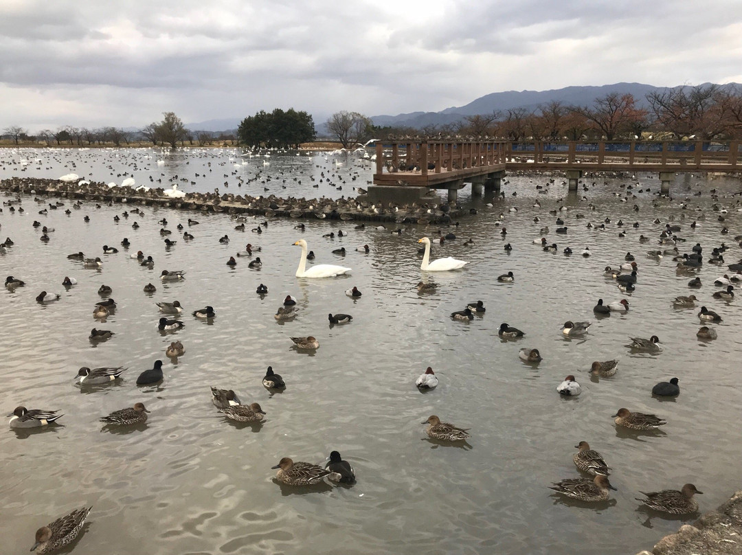 Hyokosuikin Park-阿贺野市必去景点