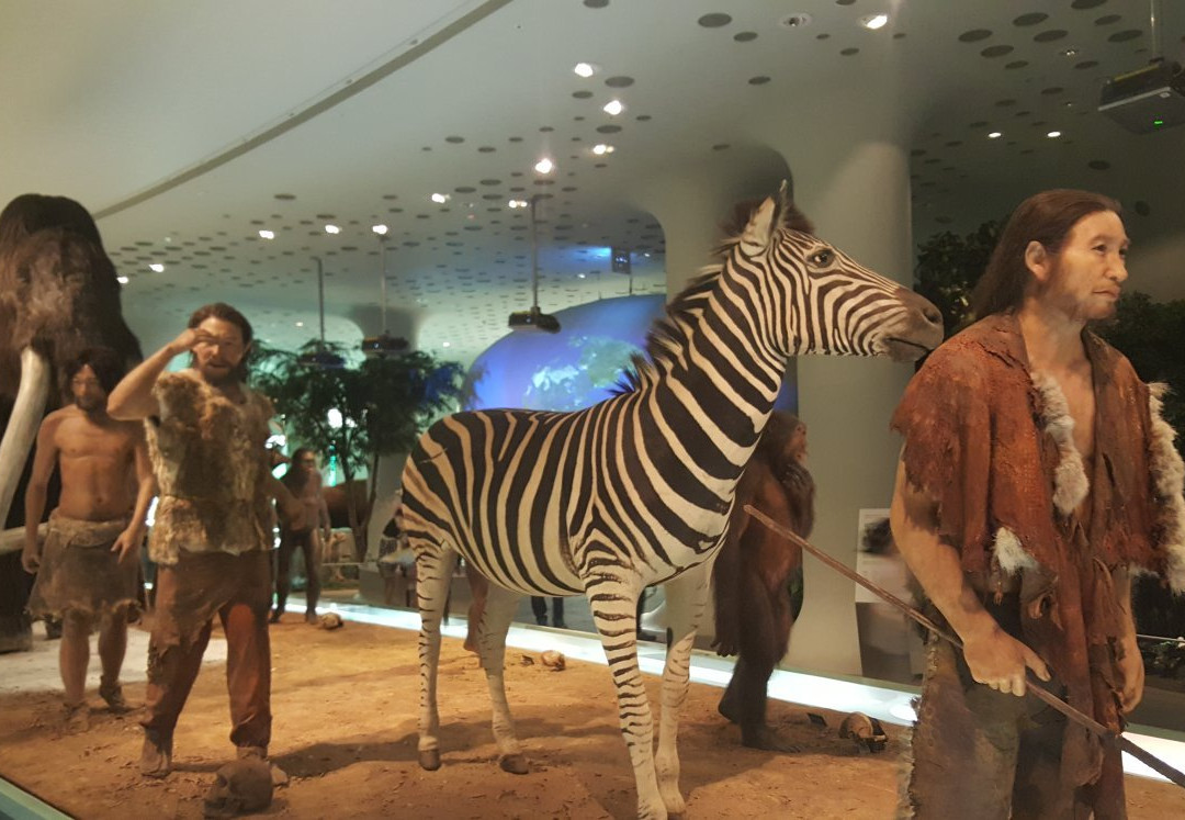 Jeongok Prehistory Museum-涟川郡必去景点