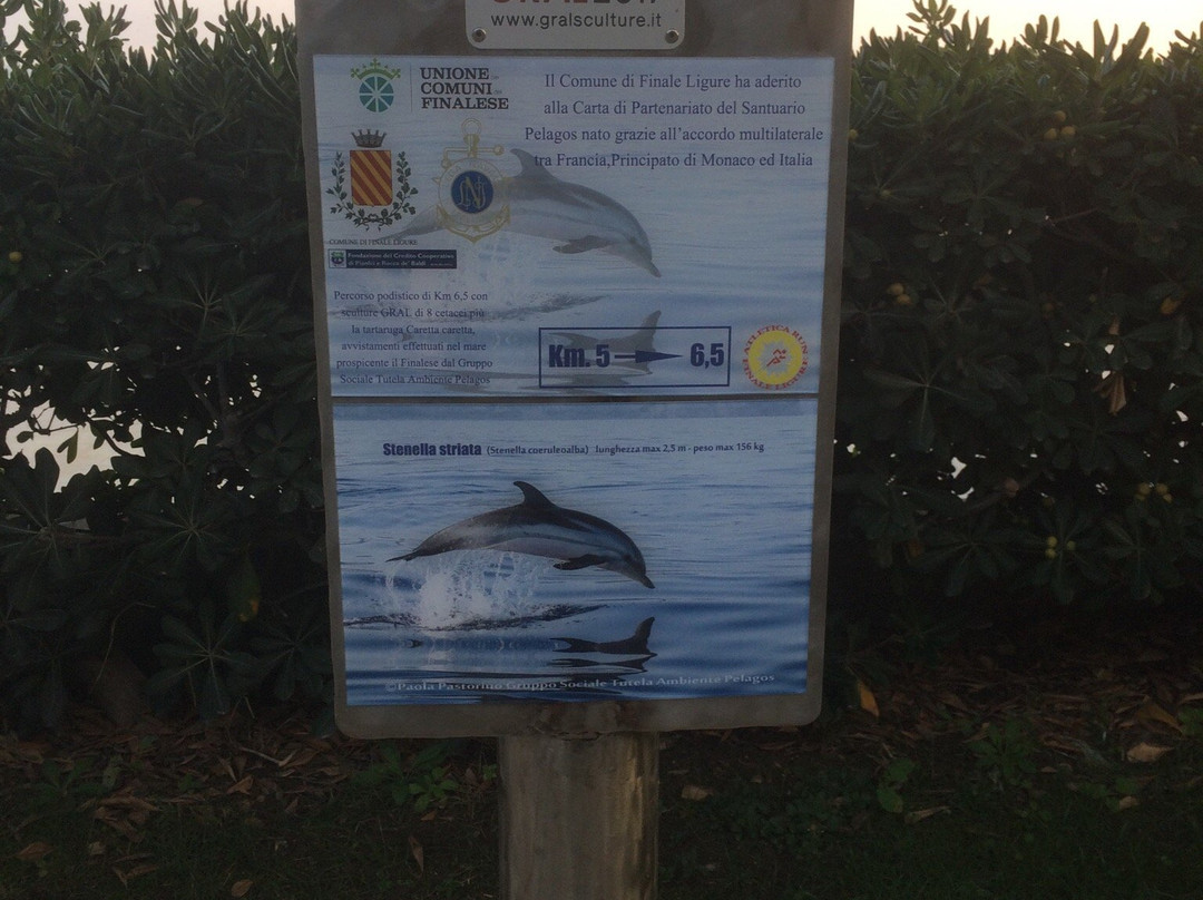 Passeggiata dei Cetacei-菲纳莱利古雷必去景点